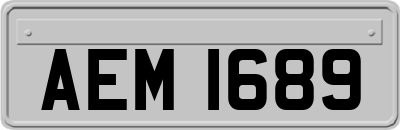 AEM1689