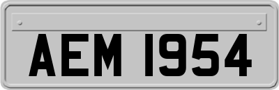 AEM1954