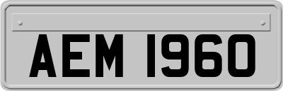AEM1960