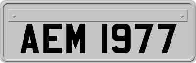 AEM1977