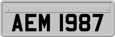 AEM1987
