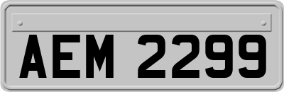 AEM2299