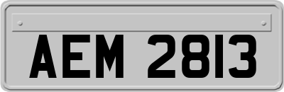 AEM2813