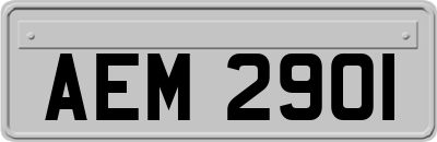 AEM2901