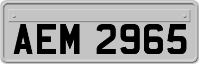 AEM2965