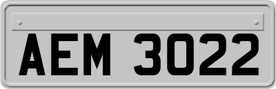 AEM3022
