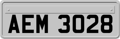 AEM3028