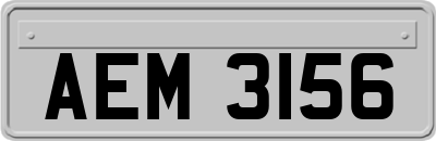 AEM3156