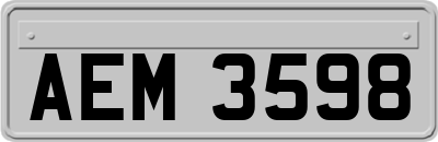 AEM3598