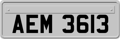 AEM3613