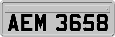 AEM3658