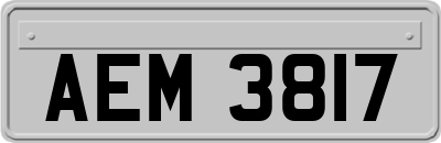 AEM3817