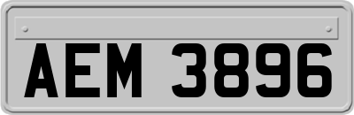 AEM3896