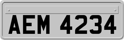 AEM4234