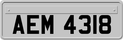 AEM4318
