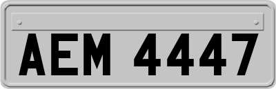 AEM4447