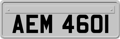 AEM4601