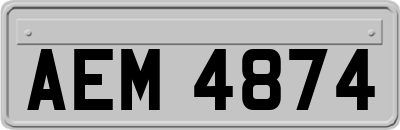 AEM4874