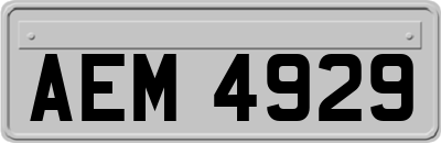 AEM4929