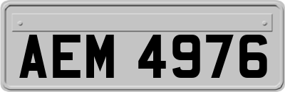 AEM4976