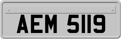 AEM5119