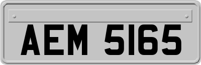 AEM5165