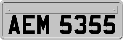 AEM5355