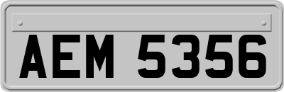 AEM5356