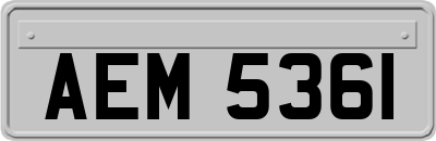 AEM5361