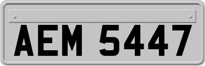 AEM5447