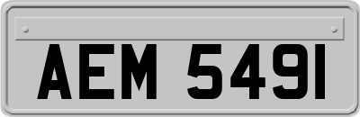AEM5491