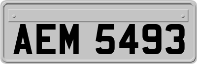 AEM5493