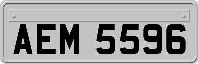 AEM5596