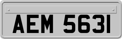 AEM5631