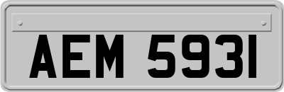 AEM5931