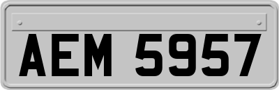 AEM5957