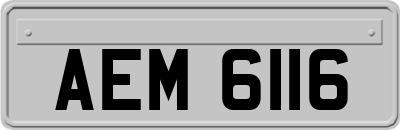 AEM6116