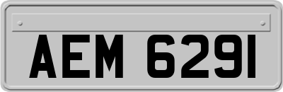 AEM6291