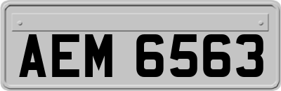 AEM6563