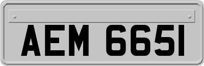 AEM6651