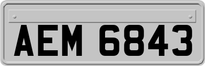 AEM6843