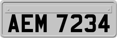 AEM7234