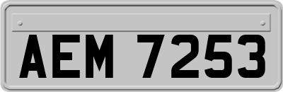 AEM7253