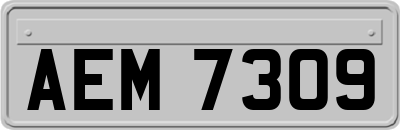 AEM7309