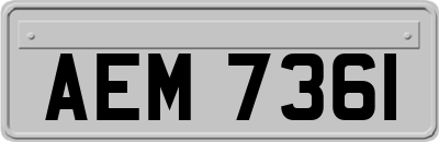 AEM7361