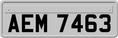 AEM7463