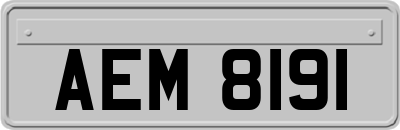 AEM8191