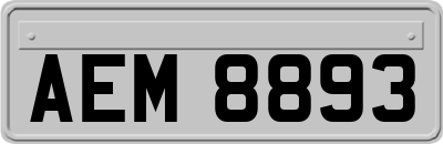 AEM8893