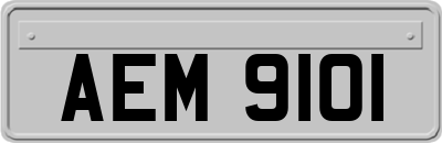 AEM9101