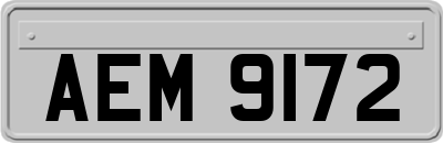 AEM9172